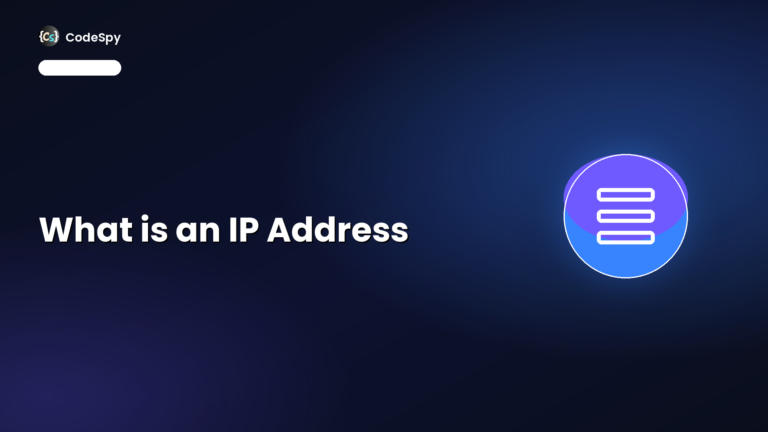 What is an IP Addresses